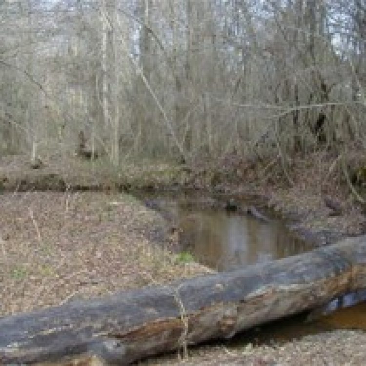 Old Richbourg Mill site
